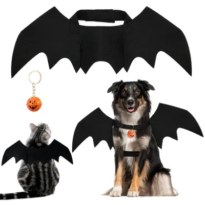 Immagine prodotto di Costume di Halloween per animali domestici con ali
