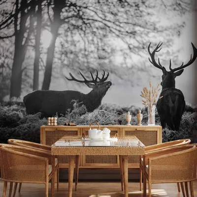 Produktbild von Vlies Fototapete - Deers in the Morning 350x245 cm Tiere g-B-0153-a-a