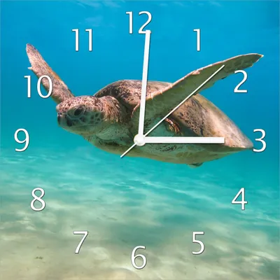 Produktbild von Wallario Design Wanduhr Meeresschildkröte aus Echtglas, Größe 30 x 30 cm