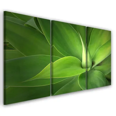 Image de Triptyque sur toile verte naturelle 60 x 40 cm Feeby verte, tableau mural prêt à accrocher