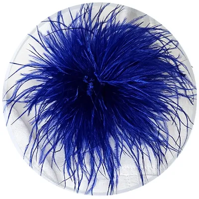 Produktbild von Federbrosche ROYALBLAU Feder Clip Anstecker Brosche Haarstecker Straußenfeder