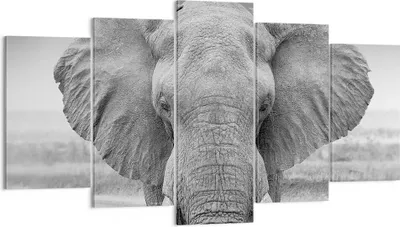 Produktbild von Bild auf Leinwand - Leinwandbild - 5 Teile - Elefant Afrika Tier - 160x85cm - Wand Bild - Wanddeko - Wandbilder - Leinwanddruck - Bilder - Wanddekoration - Leinwand bilder - Wandbild - EA160x85-5072