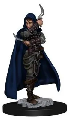 Obrázek produktu pro Pathfinder Battles: Premium malovaná figurka - Ženská lidská zlodějka