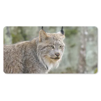 Produktbild von MuchoWow® Schreibtischunterlage Luchs - Wald - Grau 80x40 cm - XXL Mauspad - Gaming Mauspad