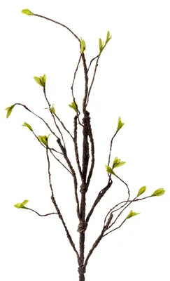 Produktbild von Clayre & Eef Kunstpflanze 130 cm Braun Kunststoff