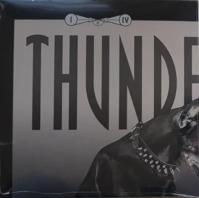 Immagine prodotto di Thunderdome Vinyl Serie I di IV
