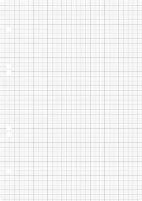 A blank sheet of graph paper with three punched holes on the left side.
