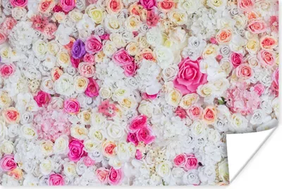 Produktbild von MuchoWow® Poster Rosen - Blume - Farben 180x120 cm - Fotoplakat
