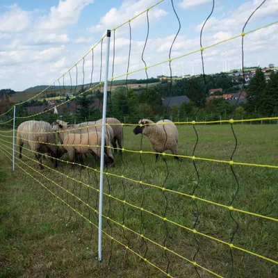 Produktbild von horizont Schafnetz horinetz 105 cm x 50 m, Einzelspitze, elektrifizierbar
