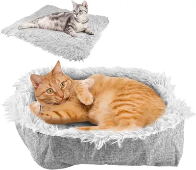 Image de Panier pour chat 2 en 1, lavable, 61x51 cm, pour petits animaux de compagnie