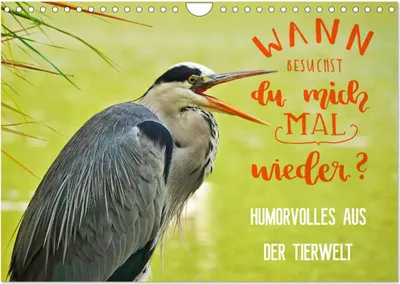 Produktbild von Humorvolles aus der Tierwelt (Wandkalender 2025 DIN A4 quer), CALVENDO Monatskalender