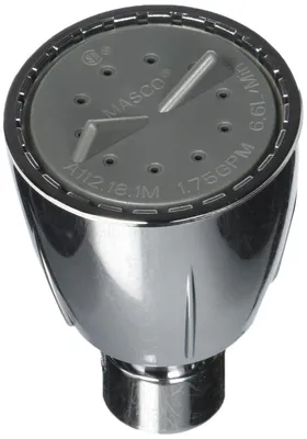 Obrázek produktu pro Sprchová hlavice Delta RP44809, chromovaná