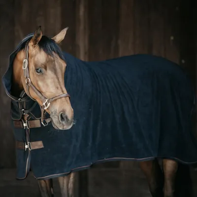 Produktbild von Kentucky Horsewear Abschwitzdecke Towel Rug Schwarz M (bis 140cm)