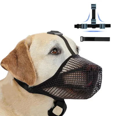 Imagen del producto de Boca ajustable para perros, con diseño transpirable