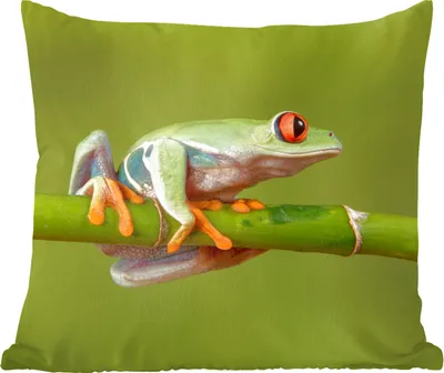 Produktbild von MuchoWow® Zierkissen Sofakissen Wohnzimmer Dekokissen 50x50 cm Rotäugiger Quecksilberfrosch auf Bambus - Komfort - Sofakissen