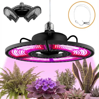A grow light suspended above several potted plants.