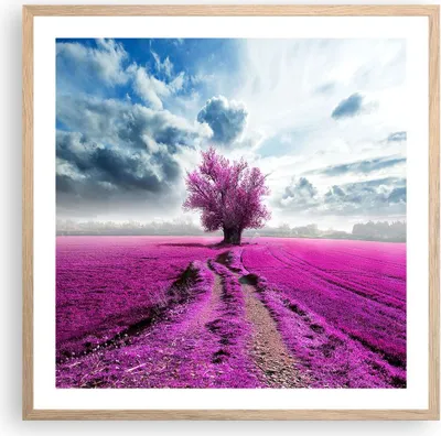 Produktbild von Gerahmtes Poster - Rahmen in heller Eiche - Heidefeld Baum Wolken Landschaft - 60x60 cm - Wand Bild - Wanddeko - Wandbilder - Wandposter - Bilderrahmen - Bilder - Kunstdruck - P2NAC60x60-2547