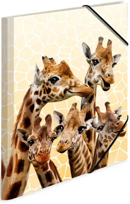 Zdjęcie produktu dla HERMA Giraffe friends, Konwencjonalny folder na dokumenty, A3, Polipropylen (PP), Wielobarwny, Gumka recepturka, 335 mm