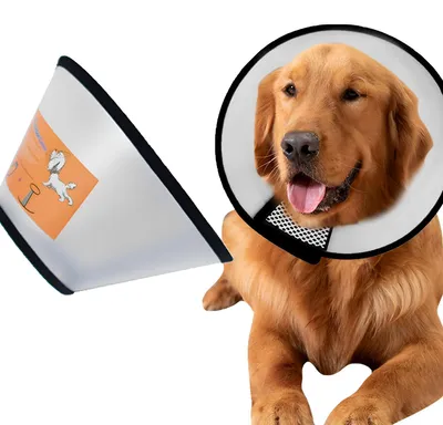 Image de Cône de protection réglable anti-morsure pour chiens - Léger, favorise la guérison (tour de cou : 35-40 cm)