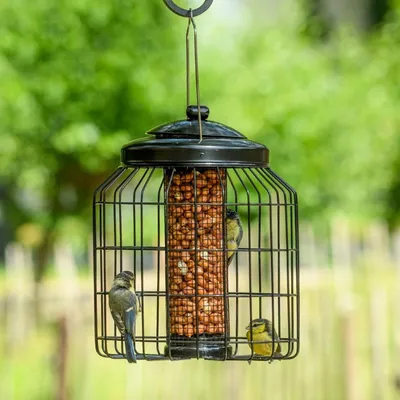 Produktbild von CJ Wildlife Futtersäule Vögel - Erdnusssäule mit Schutzkäfig - Metall pulverbeschichtet - Schwarz - Für Meisen & Sperlinge - Eichhörnchensicher