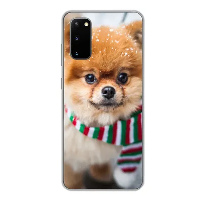 Produktbild von MuchoWow® Handyhülle Schutzhülle Hülle für Samsung Galaxy S20 Hund - Halstuch - Schnee Silikon Softcase Handy Hülle - Bild