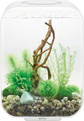 Produktbild von Aquarium 15l led-weiße konturen - Oase Life 15 LED white