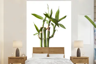 Produktbild von MuchoWow® Fototapete für Wohnzimmer oder Schlafzimmer Wandtapete Vinyl Motivtapete Bambus für weißen Hintergrund - 170x260 cm - Wohnzimmertapete