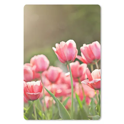 Produktbild von MuchoWow® Mauspad Mousepad Tulpen - Sonne - Frühling 18x27 cm - Mousepads - Maus Mat - Pad - Mausunterlage