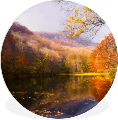 Produktbild von MuchoWow® Rundes Wandbild - Runde Bilder Natur - Wald - Herbst Ø 60 cm Kreis Wanddekoration Kunststoff - Wandkreis - Wandschmuck - Wand Kreis - Das Schlafzimmer - Die Bilder - Wandmalerei - Kunst für das Haus - das Plastik