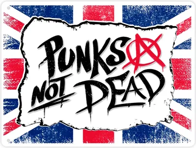 Produktbild von Punks not Dead Union Jack Metallschild XL in 21x28 cm