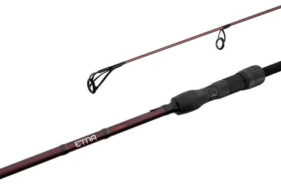 Immagine prodotto di Delphin ETNA LEGEND4RY 2,7m/2,75lbs/2 parti