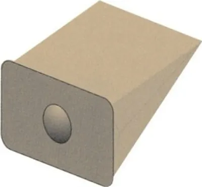 A 3D rendering of a paper vacuum cleaner bag.