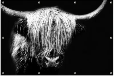Produktbild von Wallario Outdoor-Poster für Garten oder Balkon, Motiv Highlander in schwarz-weiß, in ca. 100 x 150 cm