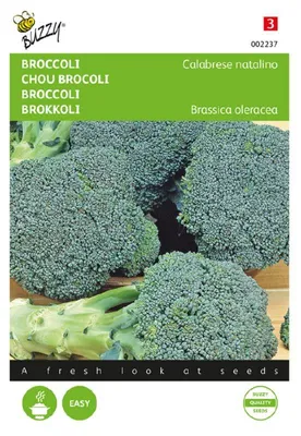 Produktbild von Buzzy Brokkoli Calabrese Natalino grün
