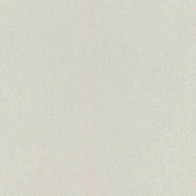 Produktbild von Vliestapete 423914 Tapete Uni Einfarbig 53 x 1005 cm Rasch Unsere Besten 2022 Beige