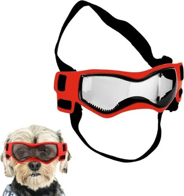 Produktbild von Famanu Hunde-Schutzbrille - Winddicht, Anti-Beschlag, Verstellbar - Rot