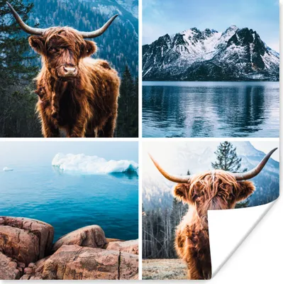 Produktbild von MuchoWow® Poster Schottischer Highlander - Berg - Collage 50x50 cm - Wohnzimmerdekoration
