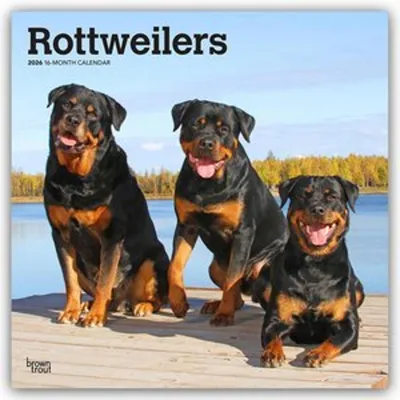 Produktbild von Rottweilers - Rottweiler 2026 - 16-Monatskalender