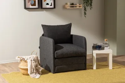 Produktbild von Hanah Home, Saga Single - Dark Grey, Schlafsofa, Dunkelgrau, 100 % METALL, 68 x 70 x 66 cm