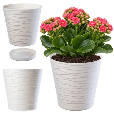 Produktbild von KADAX Blumentopf mit Untersetzer "Greve", Blumenkübel, Pflanztopf aus Kunststoff, Übertopf, rund, 15 cm, Creme