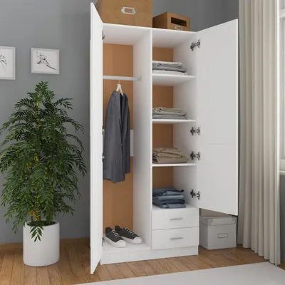 An open wardrobe with clothes and shoes inside, next to a potted plant.