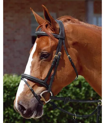 Produktbild von Kentucky Horsewear Abschwitzdecke Plaited Rope Fleecedecke Black 160