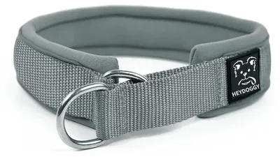 Image de Collier pour chien en néoprène, rembourré, réfléchissant, avec arrêt de traction, couleur gris, taille M (43-51 cm)
