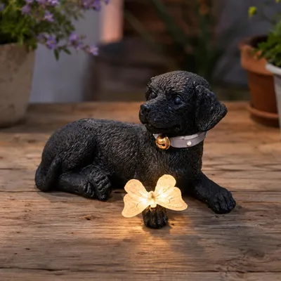 Solar-Hundefigur mit Schmetterling, Harz, 22x14x12 cm, wetterfest