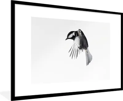 Produktbild von MuchoWow® Gerahmtes Poster Vogel - Federn - Schwarz - Weiß 90x60 cm - Poster mit Schwarzem Bilderrahmen Wandposter Rahmen Foto Bilder - Wanddekoration - Fotos