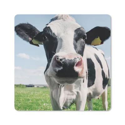 Produktbild von MuchoWow® Mauspad Mousepad Kuh - Wiese - Natur - Tiere - Gras 20x20 cm - Mousepads - Maus Mat - Pad - Mausunterlage - Desk Mat - Bureauartikeln