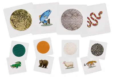 Productafbeelding van Eduplay Voelkaarten Dieren - Educatief speelgoed, multicolor