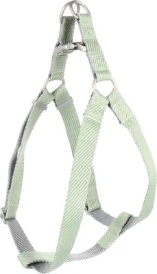 Produktbild von Flamingo Geschirr Step & Go Elly hellgrün, Größe: XL