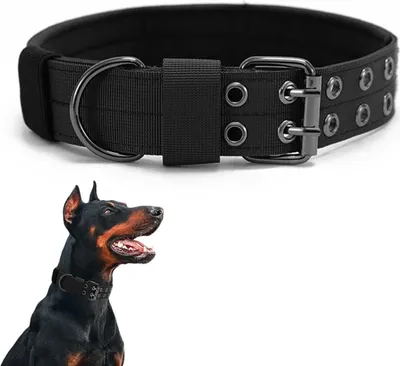 Produktbild von Taktisches Hundehalsband-Militärisches Hundehalsband verstellbares Nylon breit Trainings Halsband und strapazierfähige Metallschnalle Halsband für Mittlere Große Hunde (L)