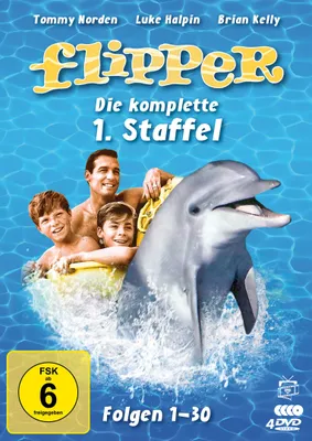 Produktbild von Flipper - Die komplette 1. Staffel (4 DVDs)